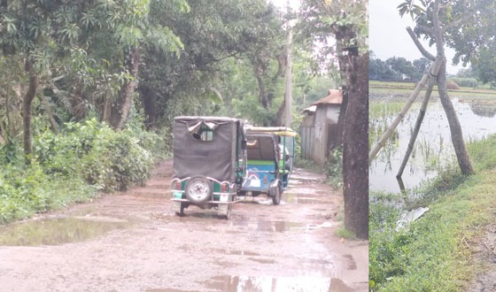 বাজিতপুর ও কুলিয়ারচর আঞ্চলিক রাস্তার বেহাল অবস্থা