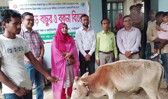 ধামইরহাটে ক্ষুদ্র নৃ-গোষ্ঠির মাঝে ষাঁড় বিতরণ