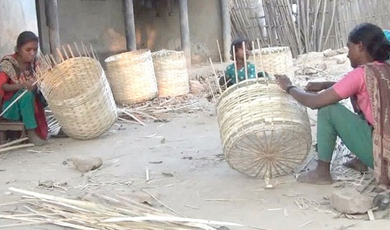 দিনাজপুরে লিচু-আমের খাঁচা দেদার্সে বিক্রি হচ্ছে