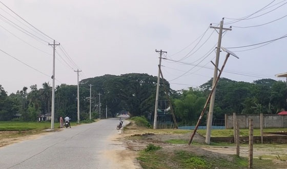 আঞ্চলিক সড়কের সোলার লাইট নষ্ট, চলাচলে বিঘ্ন ঘটছে পথচারীদের