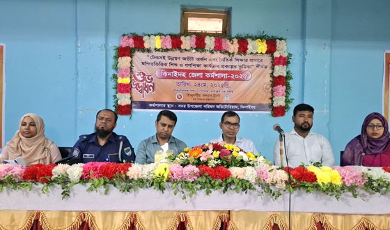 ঝিনাইদহে শিশু ও গণশিক্ষা কার্যক্রম প্রকল্পের কর্মশালা