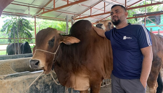 গরুর খামার করে আগৈলঝাড়ার যুবক স্বাবলম্বী