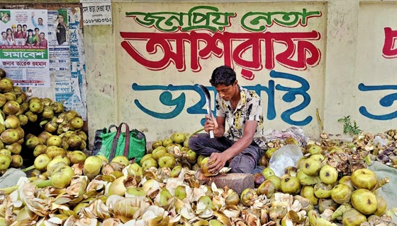 তালের শাঁস টাঙ্গাইলে ৩০ টাকায় বিক্রি