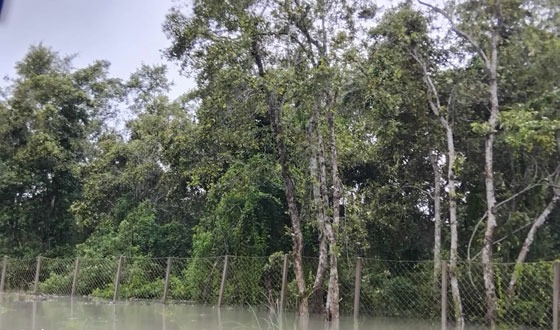 সাগরের জলোচ্ছাসে সুন্দরবন ৬ফুট জলোচ্ছাসে প্লাবিত