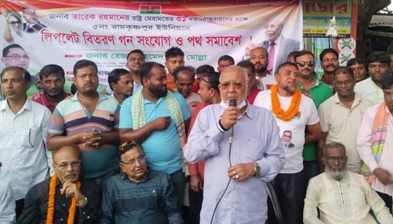 দেশের স্থিতিশীলতা ও উন্নয়নে ধানের শীষে ভোট দিন : বাচ্চু মোল্লা