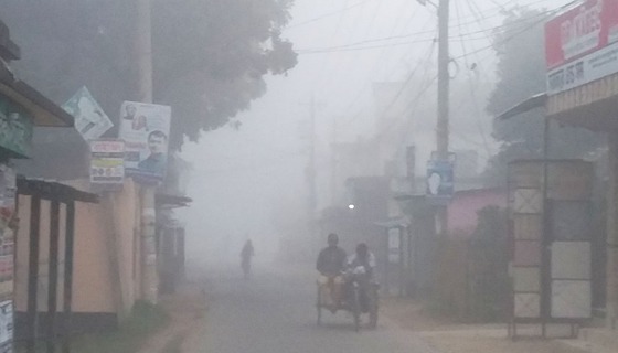 চলনবিলে শীতের আমেজ,সকালের প্রকৃতি কুয়াশায় ঢাকা