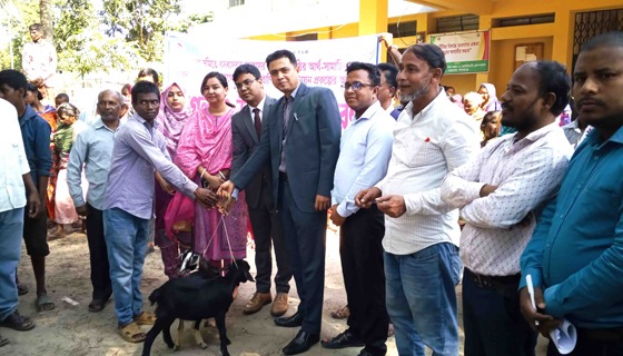 কাহারোলে ক্ষুদ্র নৃ-গোষ্ঠির সুফলভোগিদের মাঝে ছাগল ও উপকরণ বিতরণ