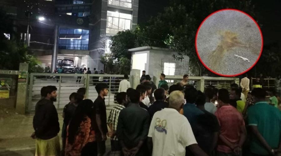 পল্লবী থানার সামনে ককটেল বিস্ফোরণ, পুলিশের এএসআই আহত