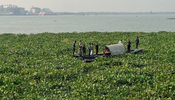 গজারিয়া বালুয়াকান্দির মেঘনা নদীতে ভেসে উঠেছে এক অজ্ঞাত ব্যক্তির লাশ