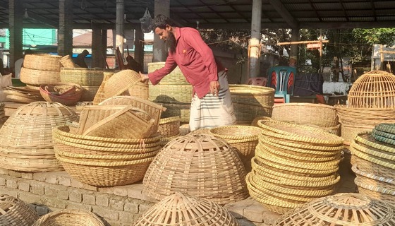 সুজানগরে বাঁশ ও বেত শিল্পের ভবিষ্যত অনিশ্চিত