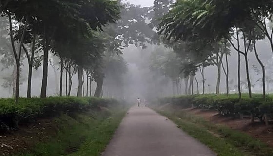 শ্রীমঙ্গলে দেশের সর্বনিম্ন তাপমাত্রা ১২.৫ ডিগ্রি সেলসিয়াস রেকর্ড