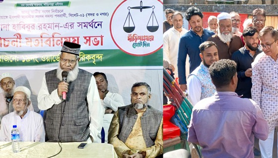 ব্যবসা-বাণিজ্য ও শিক্ষার উন্নয়নে জামায়াত-বিএনপির দুই প্রার্থীর প্রতিশ্রুতি