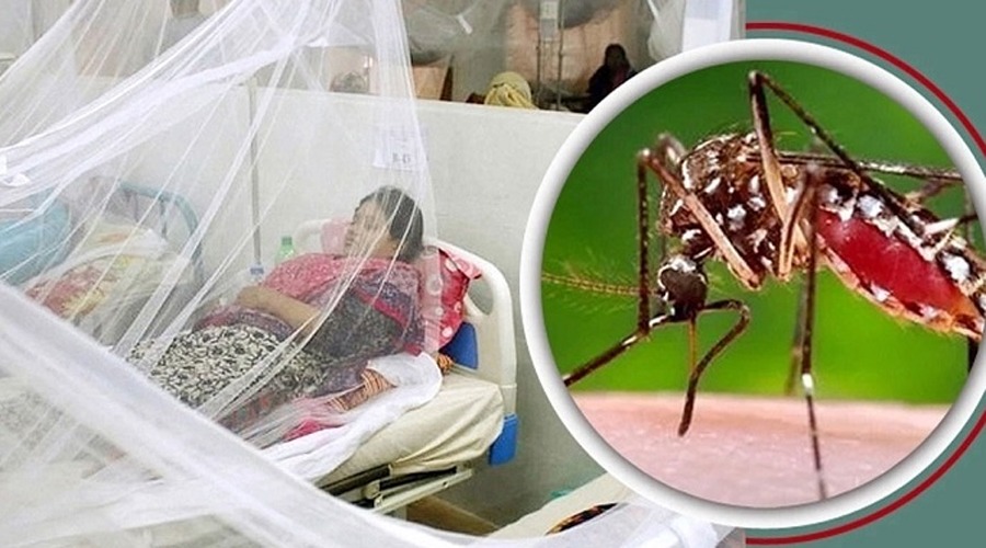 ২৪ ঘণ্টায় ডেঙ্গু আক্রান্ত হয়ে হাসপাতালে ভর্তি  ২৬৩ জন