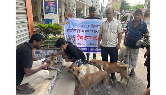 চাঁদপুর পৌরসভায় কুকুরকে দেয়া হচ্ছে ভ্যাকসিন