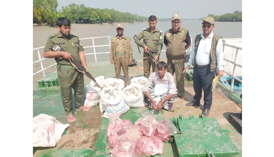 কয়রায় ৪৮ কজি হরিণের মাংস সহ আটক ১