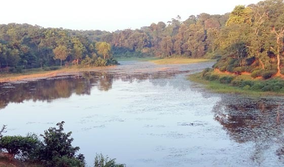 ভাড়াউড়া লেক: টিলার বুকে নৈসর্গিক এক নিঃস্তব্ধতার রাজ্য