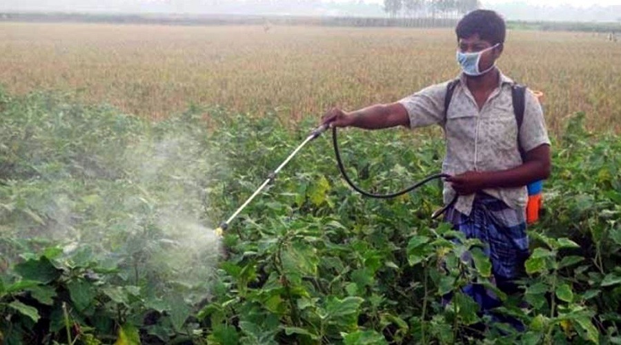 কীটনাশক ও রাসায়নিক সারের মাত্রাতিরিক্ত নির্ভরশীলতায় হুমকিতে জনস্বাস্থ্য