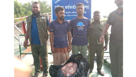 দাকোপে হরিণের মাংসসহ আটক ২