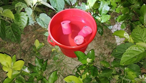 শার্শায় ৩ টি ককটেল উদ্ধার