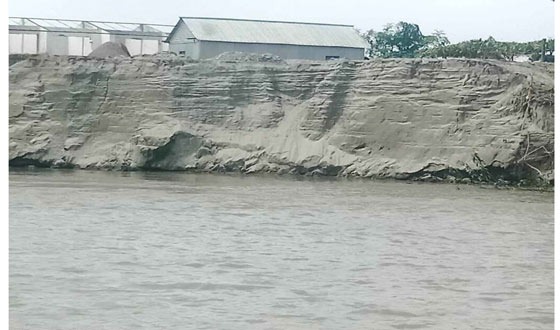 চিলমারীতে ব্রহ্মপুত্রের ভাঙ্গনে বাস্তুহারা ৫০টি পরিবার