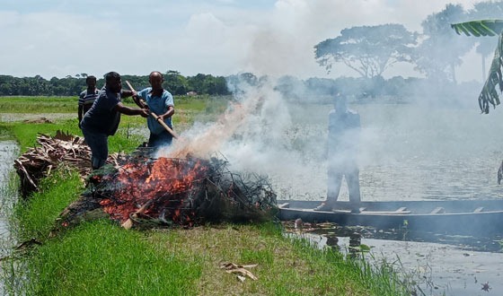 মোল্লাহাটে নিষিদ্ধ চায়না দুয়ারী জাল বিরোধী অভিযান