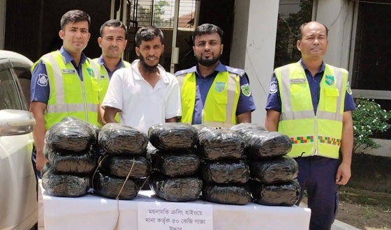 কুমিল্লায় ৫০কেজি গাঁজাসহ মাদক ব্যবসায়ী আটক