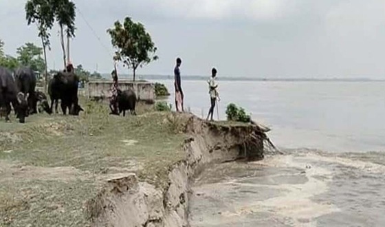 দৌলতপুরে পদ্মানদীর ভাঙনে প্রাথমিক বিদ্যালয়সহ বাড়িঘর বিলীন