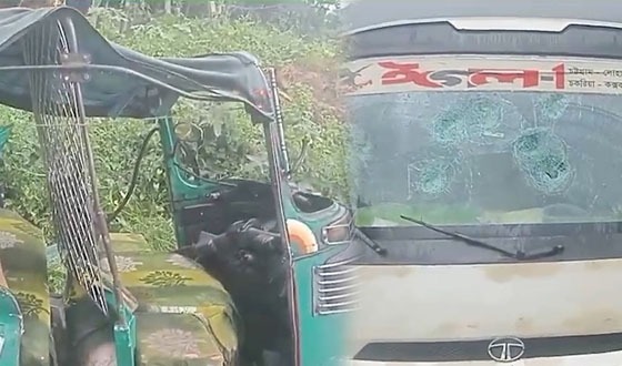 চন্দনাইশে দুই অটোরিকশা ও বাসের সংঘর্ষে বউ-শ্বাশুড়িসহ নিহত ৩