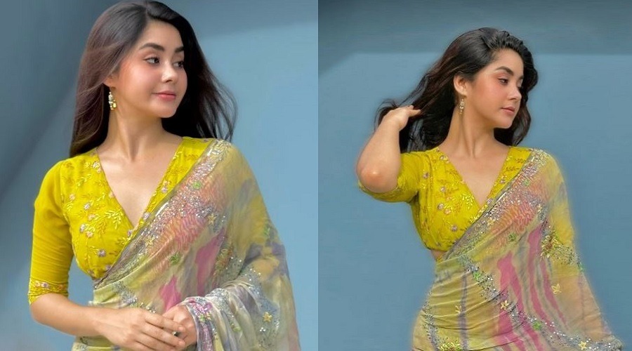 রঙিন শাড়িতে মুগ্ধতা ছড়ালেন রোজা