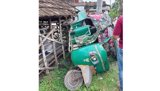 চৌগাছায় সড়ক দুর্ঘটনায় আহত ৮
