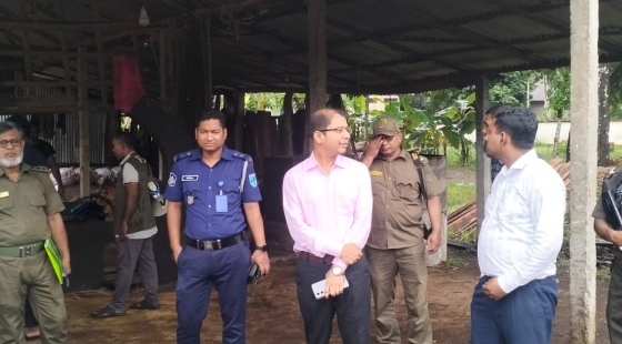 কাপাসিয়ায় করাত কলে ভ্রাম্যমাণ আদালতের জরিমানা