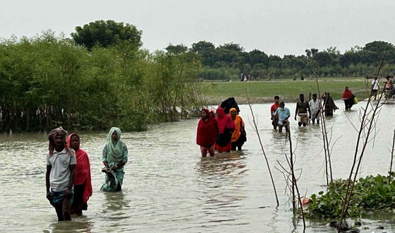 iবাঘায় পদ্মার চরে পানির মধ্যে ঝুকি নিয়ে বাড়ি ফিরছেন ওরাঁ