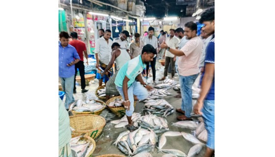 ইলিশের নিষেধাজ্ঞা শুরু ৪ অক্টোবর