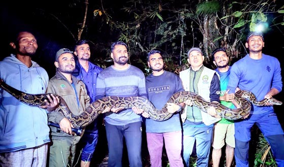 কমলগঞ্জে ৪০ কেজি ওজনের বিশাল অজগর উদ্ধার