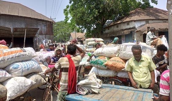 শৈলকুপায় পেঁয়াজের ন্যায্য দাম না পেয়ে হতাশ চাষিরা