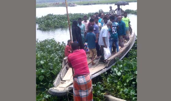বাজিতপুরের দিলালপুর-মাইজচর গ্রামে ব্রীজের দাবী এলাকাবাসীর