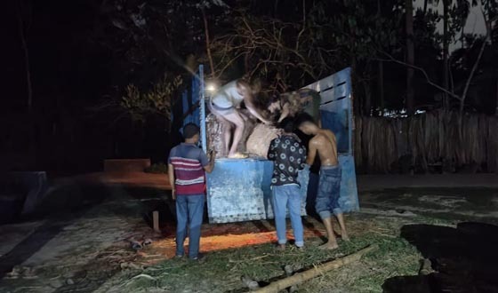 জিয়ানগরে ৫৯ ব্যারেল চোরাই বিটুমিন উদ্ধার