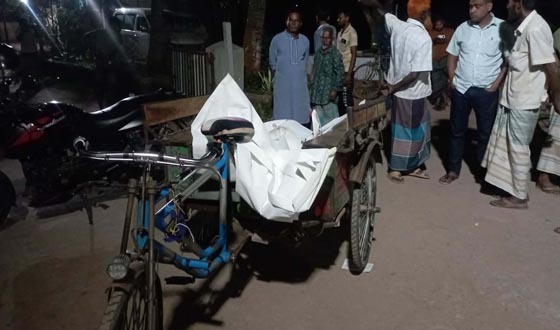 ঘোড়াঘাটে ট্রাকচাপায় ভ্যানচালকের মৃত্যু