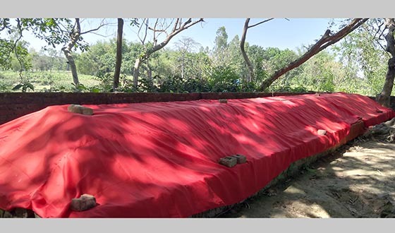 রাণীশংকৈলে দারগাপীরের ৭০হাত কবরকে ঘিরে অলৌকিক কাহিনী!