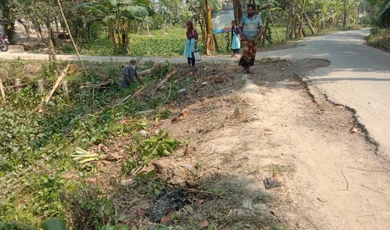 ক্ষেতলালে সরকারি রাস্তার পাশের ফলদ গাছ কাটার অভিযোগ