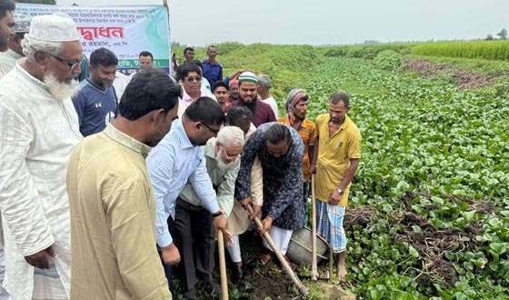 কালিহাতীতে খাল খনন শুরু, জলাবদ্ধতা কমে বাড়বে কৃষি উৎপাদন