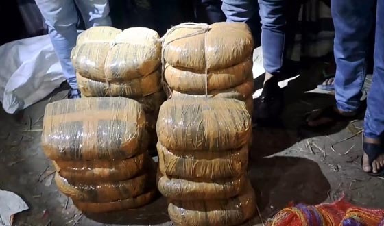 নাসিরনগরে ৪০ কেজি গাঁজা  উদ্ধার