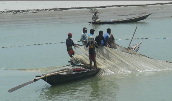 সুজানগরে পদ্মার কোল শুকিয়ে যাওয়ায় মৎস্যজীবীরা বেকার