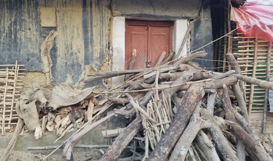 সাপাহারে প্রবাসীর বসতভিটা জবরদখলের অভিযোগ