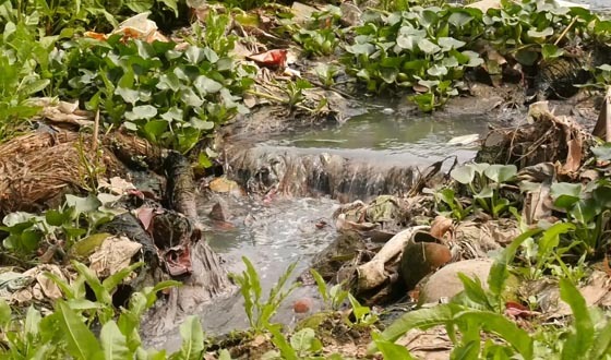 কালীগঞ্জসহ জেলার ১২ টি নদী দখল