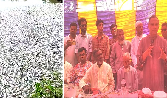 পুকুরে বিষ প্রয়োগ নাকি পরিদর্শন করতে এলেন প্রতিমন্ত্রী শরিফুল আলম