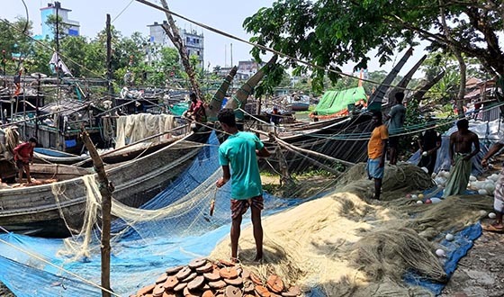 বঙ্গোপসাগরে ইলিশের প্রজনন রক্ষায় ৫৮ দিন সাগরে মাছ ধরা বন্ধ