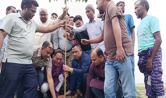 কুড়িগ্রামে যুবদলের বৃক্ষরোপণ কর্মসূচি পালিত