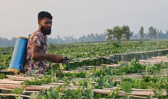 কুড়িগ্রামে ডিজেল সংকটে ব্যহত হচ্ছে কৃষি সেচ কার্যক্রম