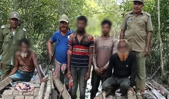 অবৈধ কর্তন নিষিদ্ধ সুন্দরী কাঠ পাচারকালে ৪ জেলে আটক